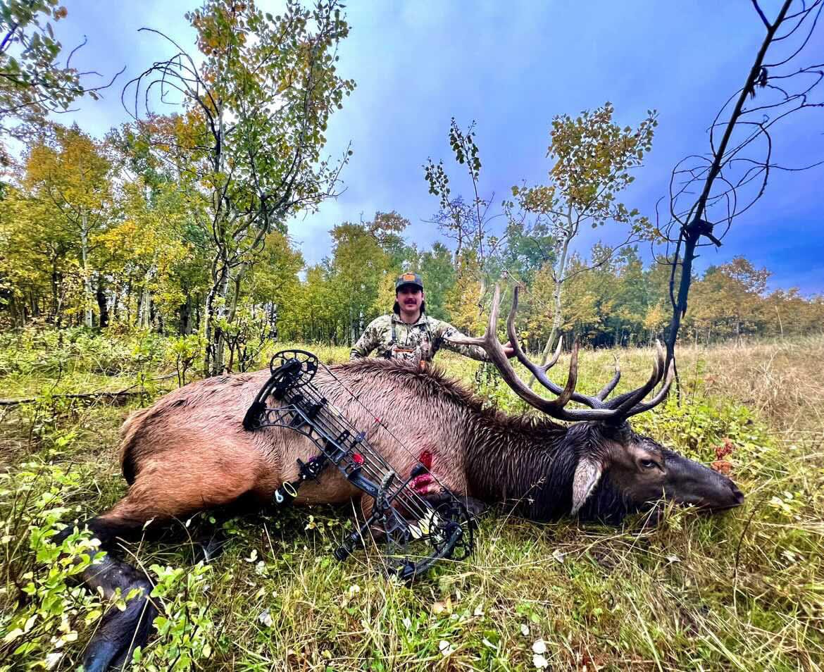 TOTA | 100 grain broadhead | 1-inch solid | fixed blade