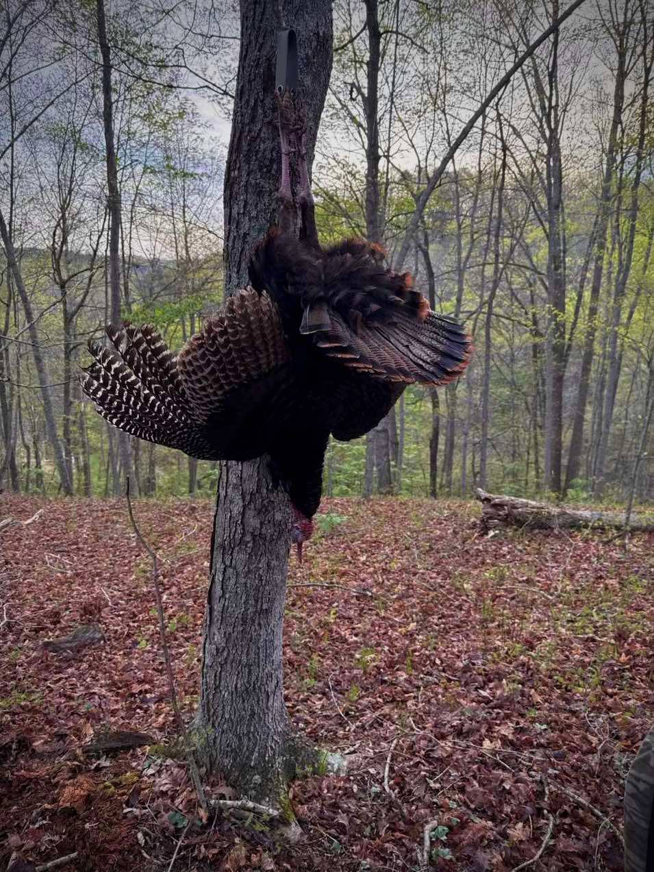 Ultra-Lite Turkey Tote
