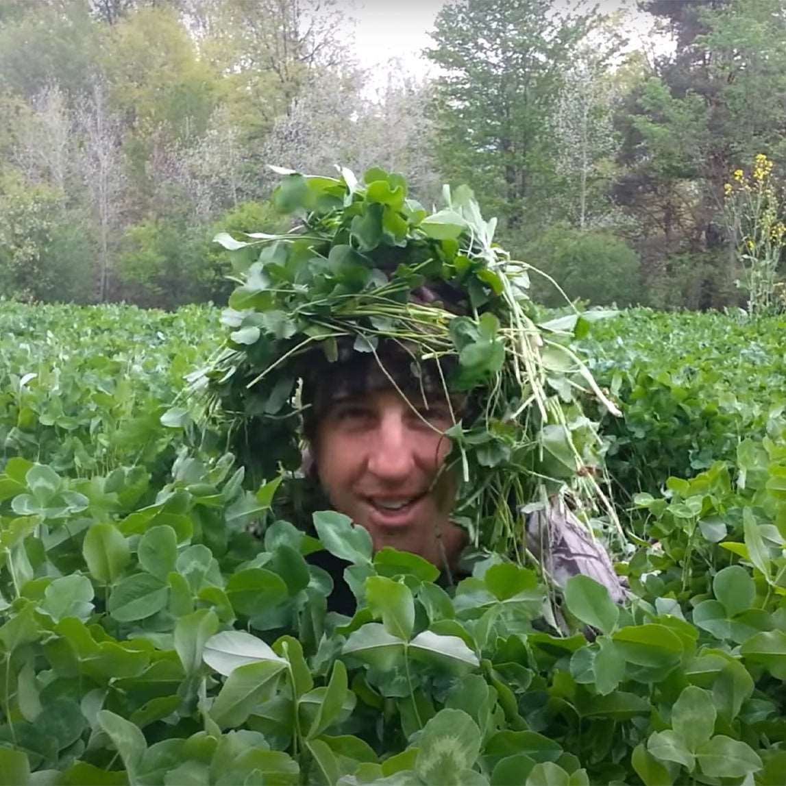 X20 Perennial Plot Mix